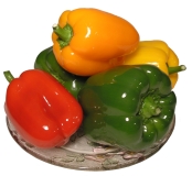 Bell Peppers Dish, logo