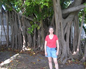 Banyan tree, Key West Florida,Jackie