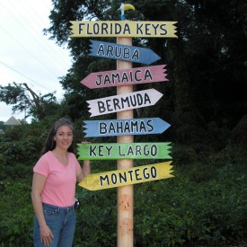 Florida Keys arrow signs