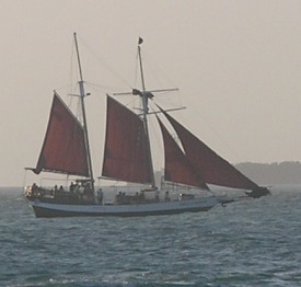Sailboar in Key West,Florida